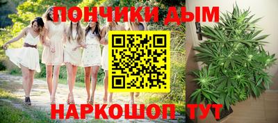 шишки Ирбит